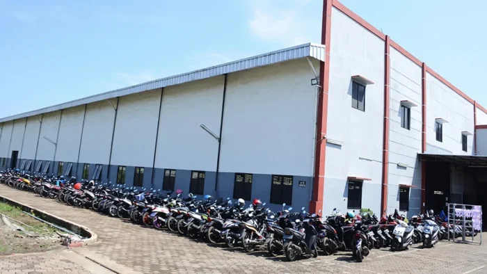 Our Services